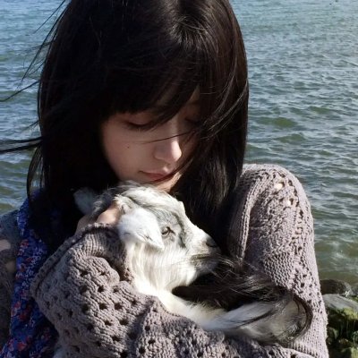 贼来晚餐